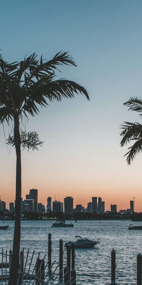 Miami local insights and alternatives