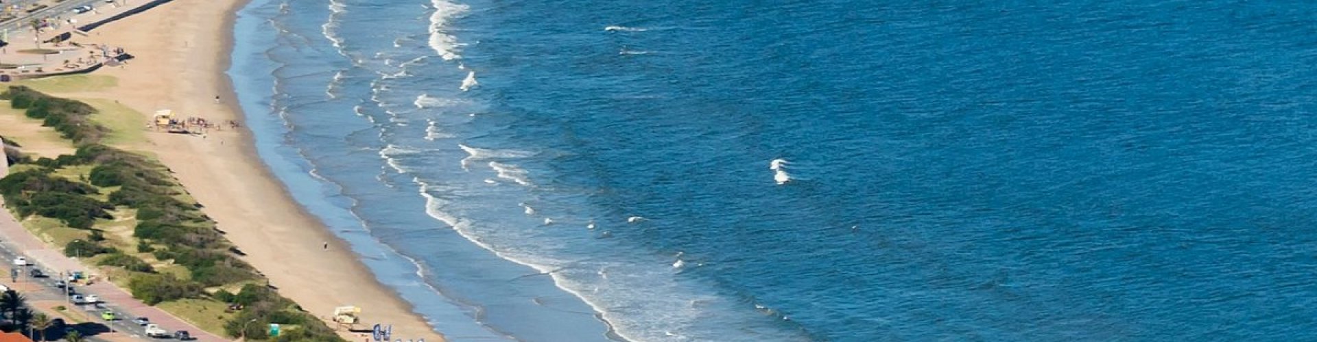 blog