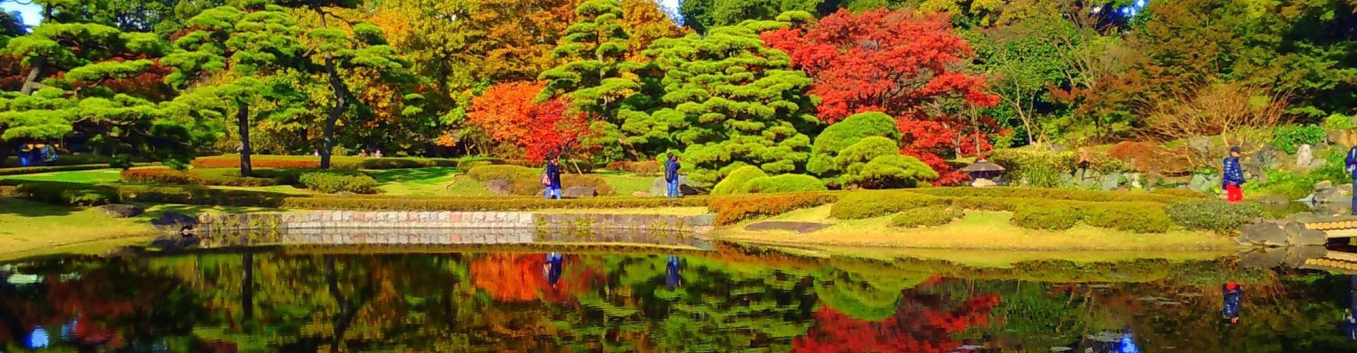 Tokyo sunset cityscape