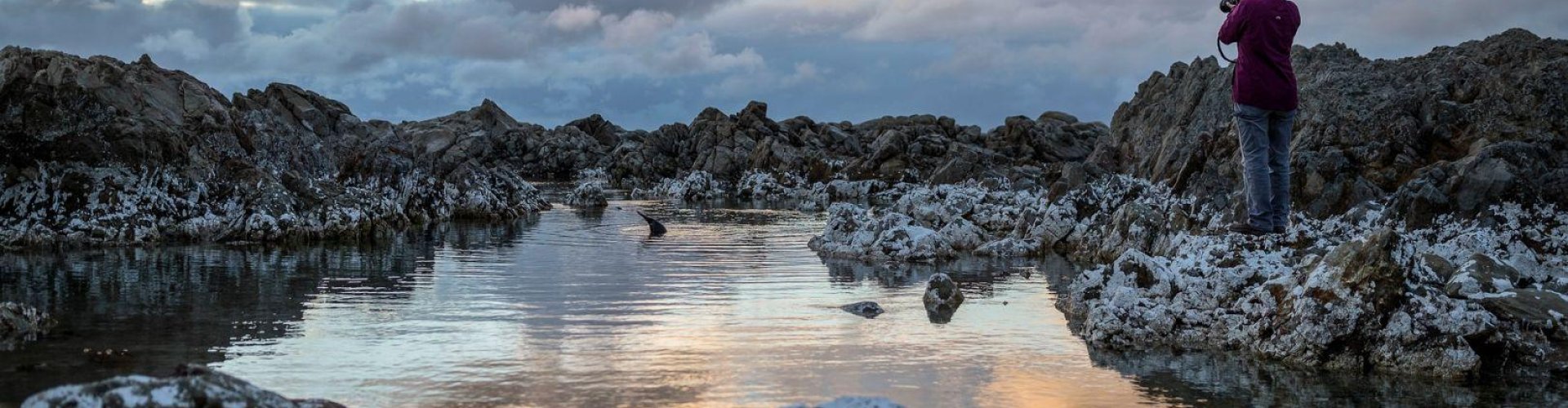 Scenic coastal view of Kaikōura at sunset