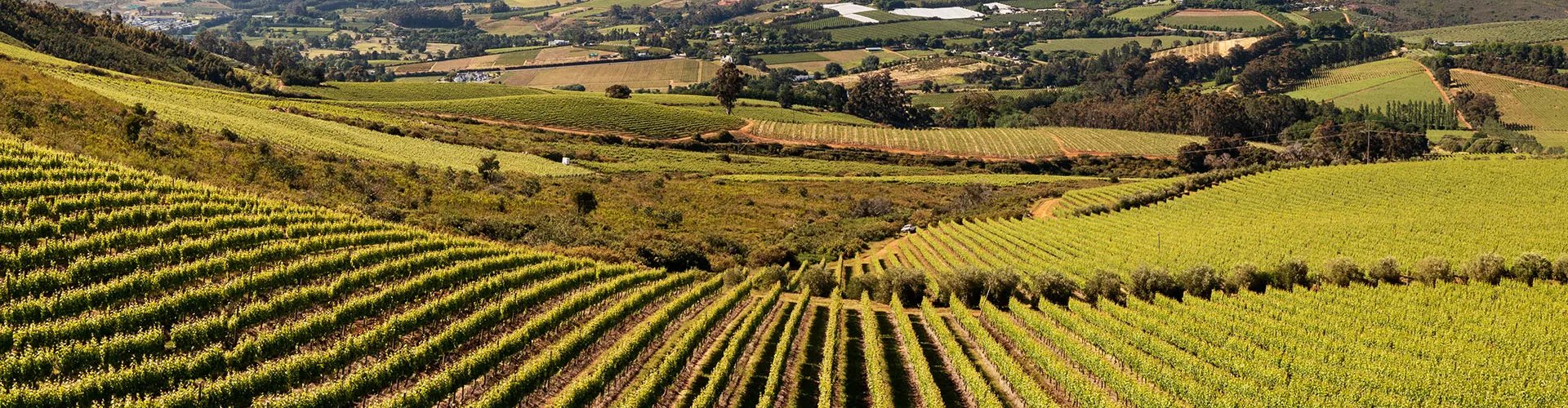 Stellenbosch, ZA