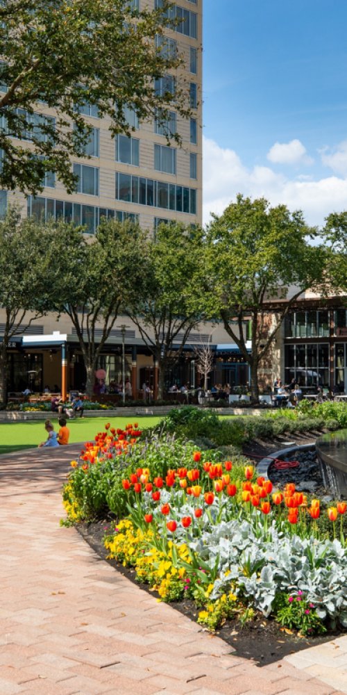 Buffalo Bayou and Houston skyline