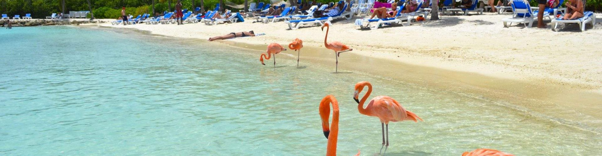 Sunset over Aruba streets