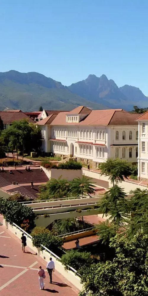 Cycling in Stellenbosch