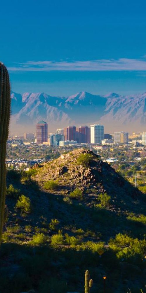 Bicycles in Phoenix