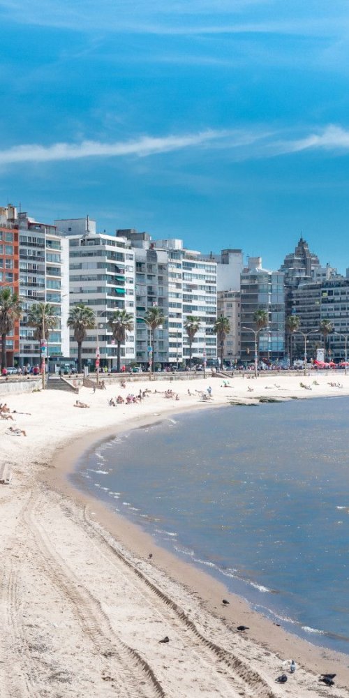 Montevideo walking and bike tour