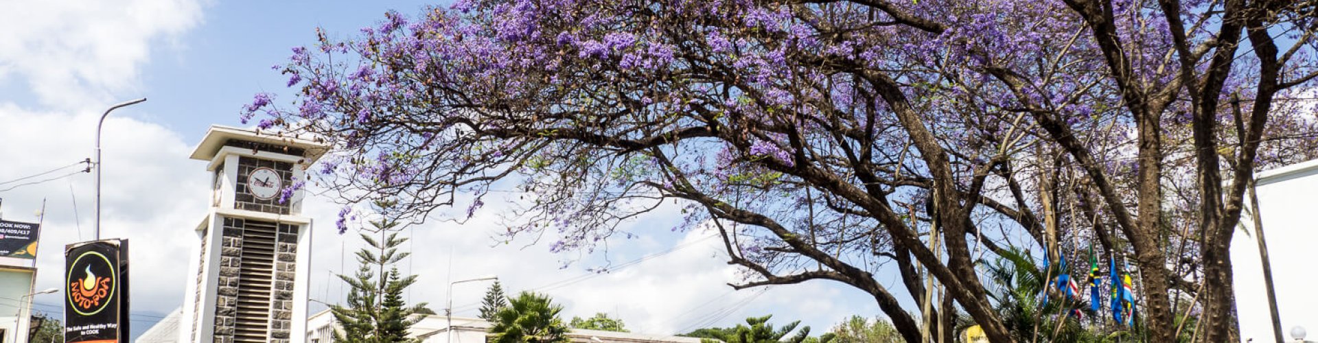 Sunset over Arusha streets